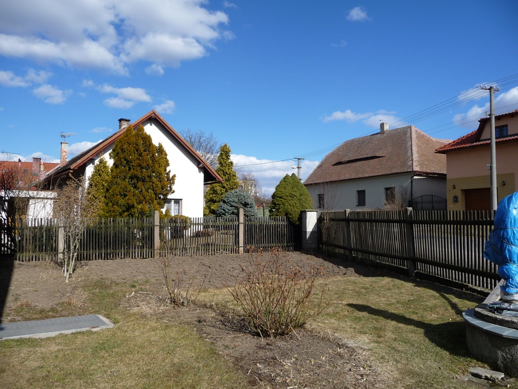 Třibřichy